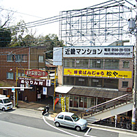 上から見ても味のある松や